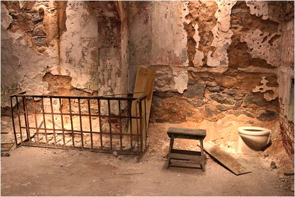 夢到紅白相間大蛇是咋回事_周公解夢官網