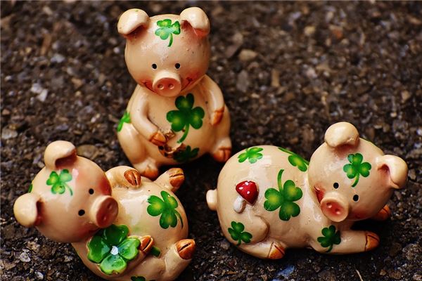 幾點出生屬豬的人命最好_十二生肖