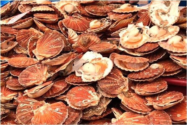 夢到別人胸很大是什麼兆頭_周公解夢官網