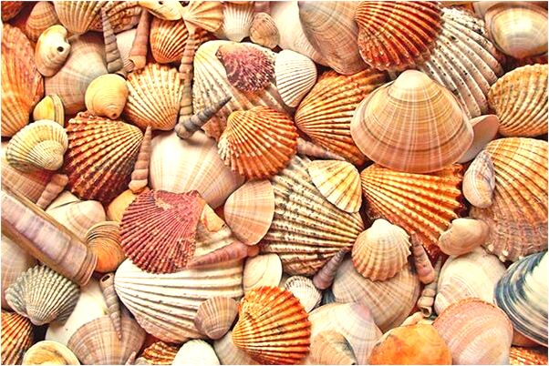 夢到自己穿父親壽衣怎么樣_周公解夢官網