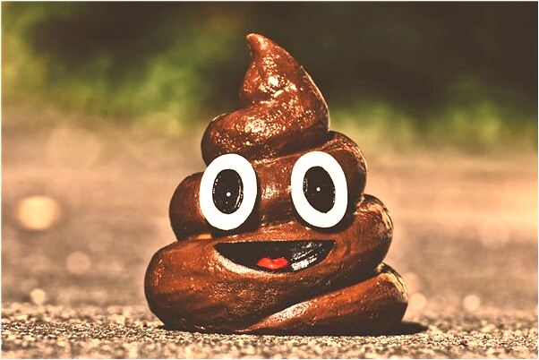 夢見很多人一起跳舞是什麼徵兆_周公解夢官網