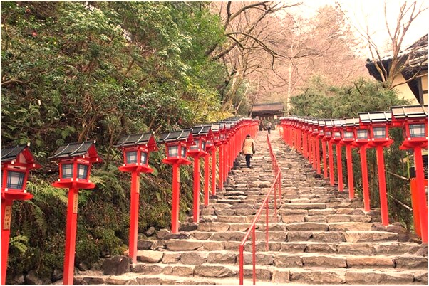 夢到被黑貓撲是怎么回事_周公解夢官網