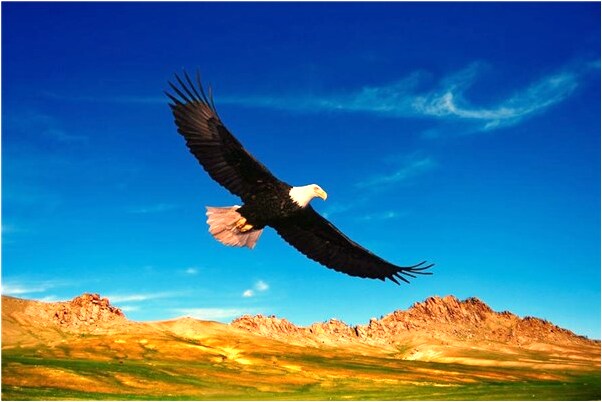 夢見不停地找機車是什麼預兆_周公解夢官網