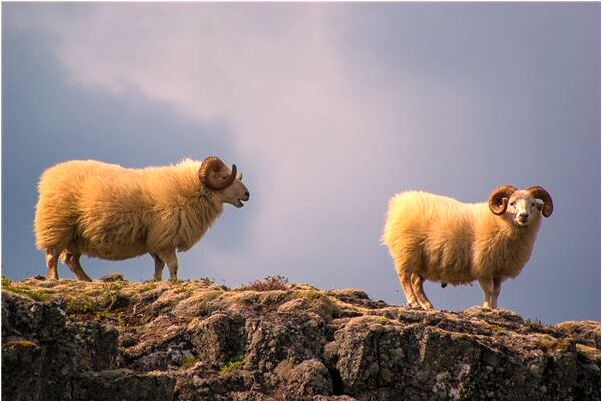 夢到了大水把橋沖塌有什麼寓意嗎_周公解夢官網