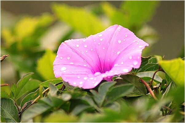 夢到白天已故的人怎么回事_周公解夢官網