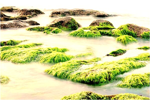 夢到去了男友家裡是好事還是壞事_周公解夢官網