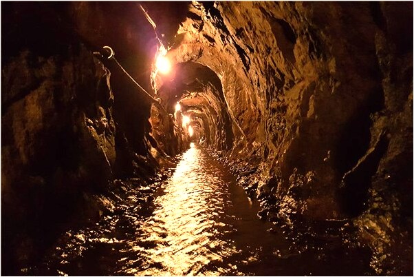 夢到姐向我要報紙是好是壞_周公解夢官網