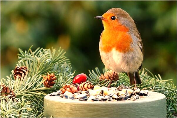 夢到了自己懷孕生的是男孩是咋回事_周公解夢官網