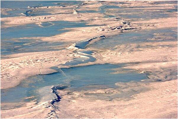 夢到了兔子死了有什麼意義嗎_周公解夢官網