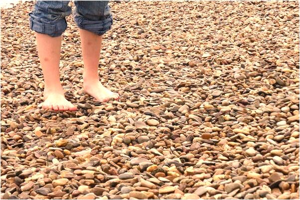 夢到了桃子變李子意味著什麼_周公解夢官網