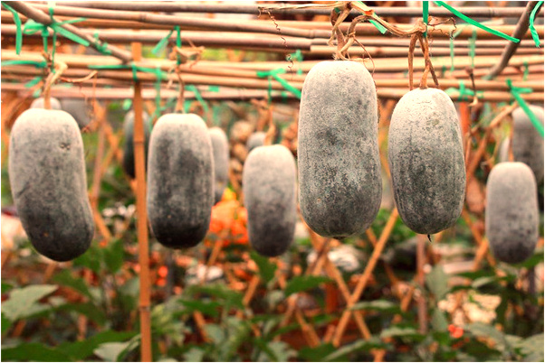 夢到了在寫字忘記號碼喊情人幫寫意味什麼_周公解夢官網