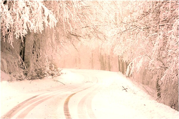 夢見被貓咬屁股會是什麼預兆_周公解夢官網
