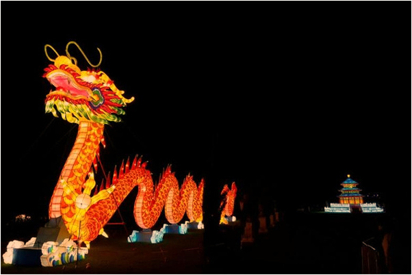 夢到了有人拔桑樹枝是什麼徵兆_周公解夢官網