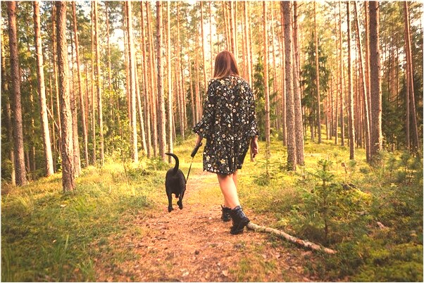 夢見死人抱走自己的孩子怎么回事_周公解夢官網