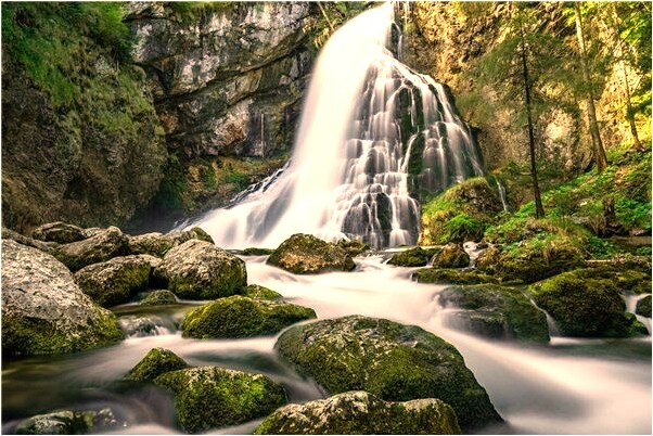 夢到了射箭三隻眼小狐狸貓是凶兆還是吉兆_周公解夢官網