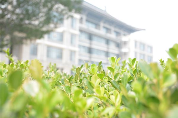 夢到了北大是什麼徵兆_周公解夢