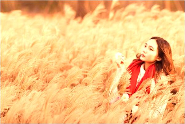 夢到朋友在樹上釘釘子是怎么回事_周公解夢官網