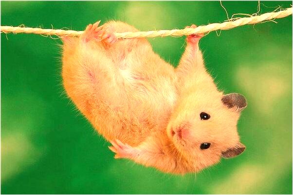 夢到缺少力氣累是什麼徵兆_周公解夢官網