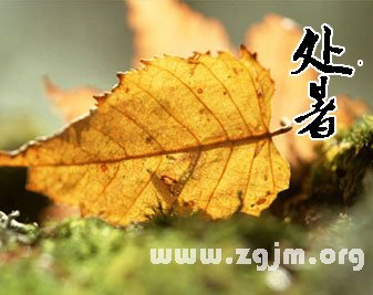 處暑的處是什麼意思