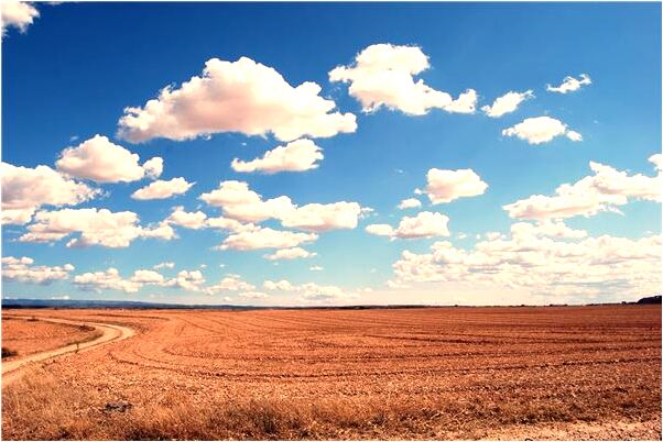 夢到了沒坐上巴士是什麼預兆_周公解夢官網