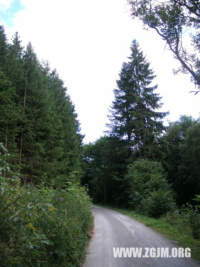 夢見狗進家裡_周公解夢夢到狗進家裡是什麼意思_做夢夢見狗進家裡好不好_周公解夢官網