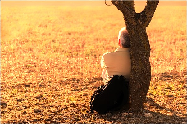 夢到李記平是好的徵兆嗎_周公解夢官網