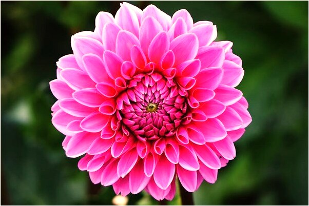 夢到了很多陰鈔有什麼預示嗎_周公解夢官網