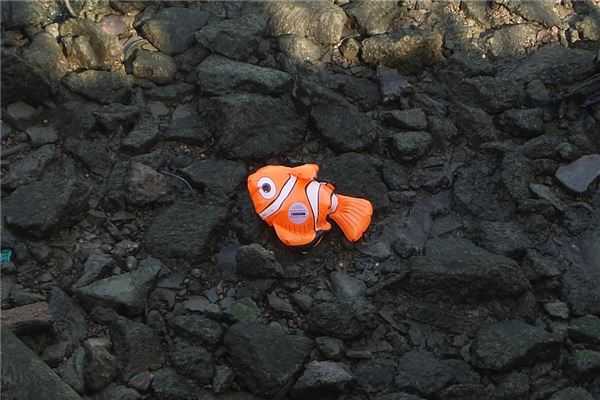 夢見小死魚意味什麼_周公解夢