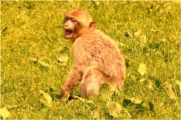 夢見穿紅褲子和紅鞋有什麼徵兆_周公解夢官網