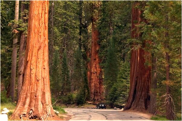 夢見與情人親吻意味著什麼_周公解夢官網