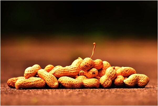 夢見把女友娶回家是什麼預兆_周公解夢官網