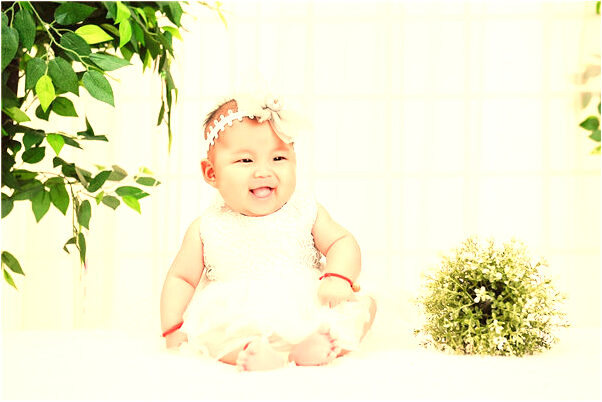 夢到了樹上蜜蜂扎堆是凶兆還是吉兆_周公解夢官網