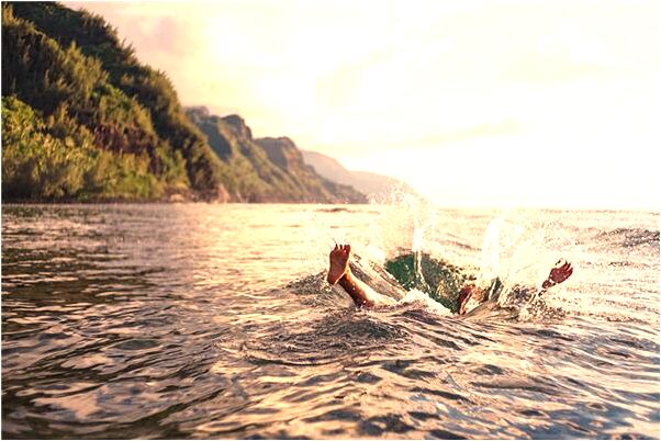 夢見捉住只小鳥預示了什麼_周公解夢官網