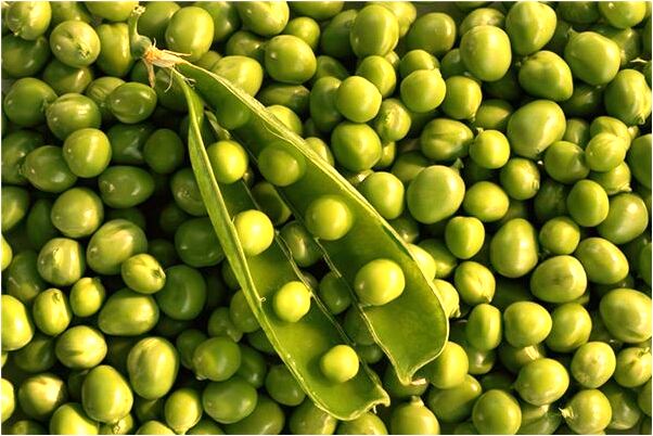 夢到了一個男人不理自己會是什麼預兆_周公解夢官網