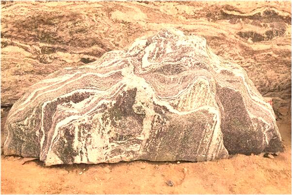 夢見內褲上沾了狗屎是好是壞_周公解夢官網