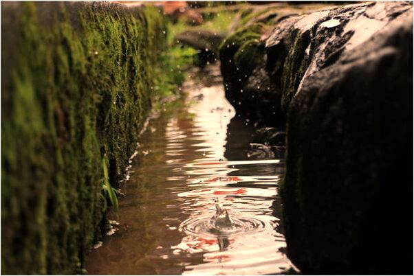 夢見老公襪子破了會是什麼預兆_周公解夢官網