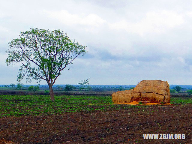 夢見電閃雷鳴下大雨_周公解夢夢到電閃雷鳴下大雨是什麼意思_做夢夢見電閃雷鳴下大雨好不好_周公解夢官網