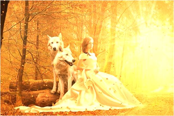 夢見我和醫生還有姥姥吵架什麼預兆_周公解夢官網