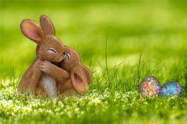 今年屬兔子的多大了_十二生肖