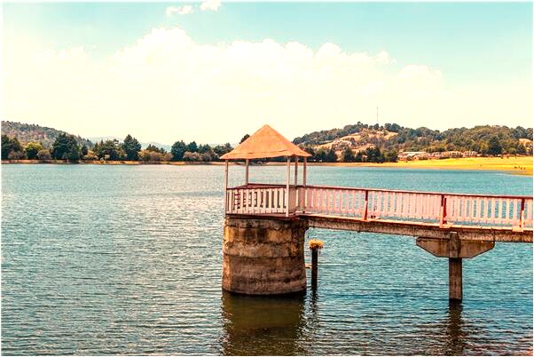 夢見腳踏車賽騎手摔倒是好是壞_周公解夢官網