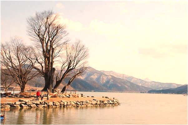 夢到拜師學藝被趕意味著什麼_周公解夢官網