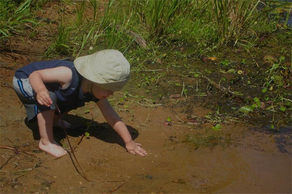 夢到了爛泥是啥意思_周公解夢