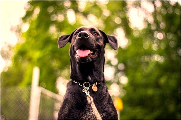 夢到自己漱口是凶兆還是吉兆_周公解夢官網