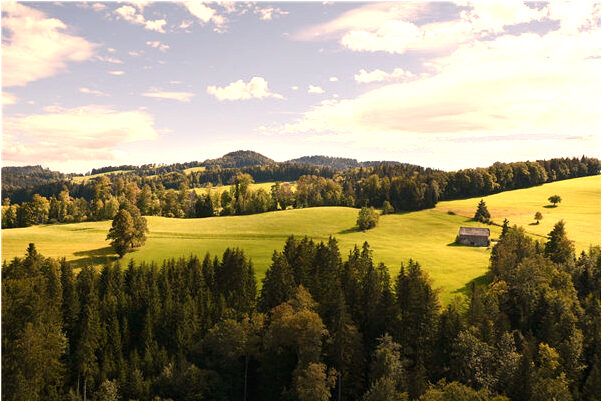 夢見我和老師戀愛了是怎么回事_周公解夢官網