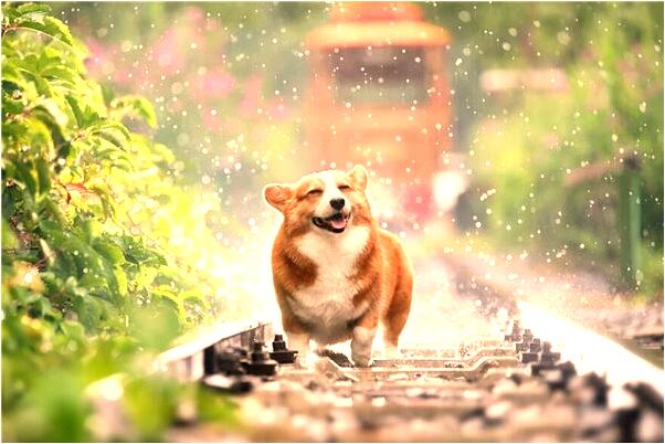 夢見已故的爸爸病了沒人照顧代表著什麼？_周公解夢官網