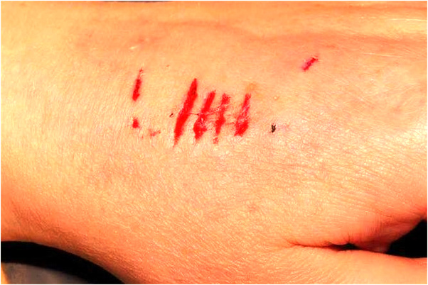 夢到了死去的老爸在世要我陪他去是啥預兆_周公解夢官網