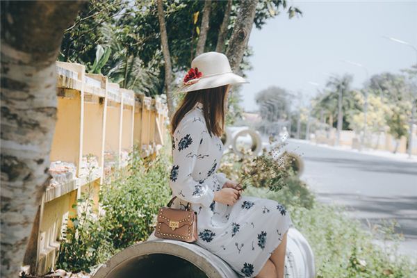 狗年出生的人的命運如何？_十二生肖