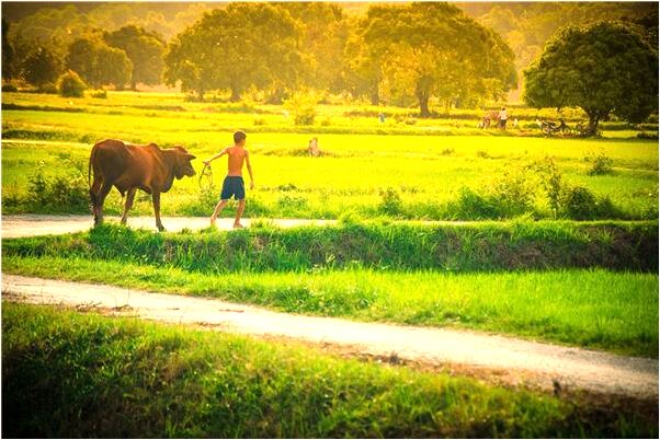 夢見真假銀幣是好的徵兆嗎_周公解夢官網
