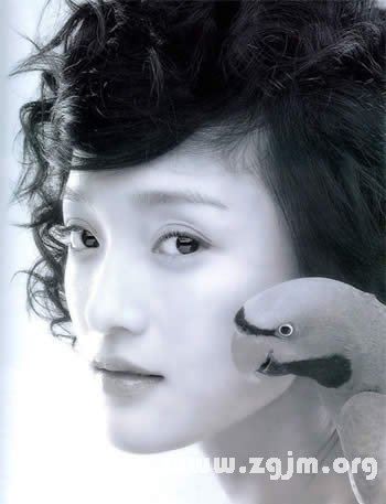 Zhou xun