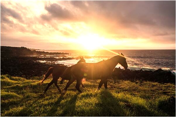 夢到特別熟的人送我一塊表有什麼預示嗎_周公解夢官網